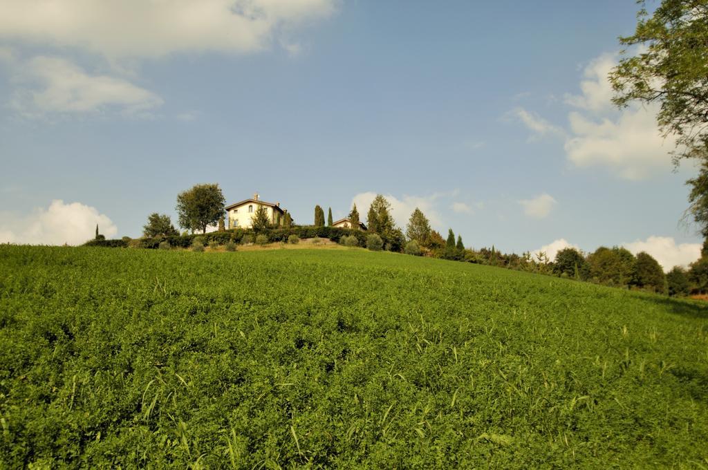 La Vedetta Bed And Breakfast Castelvetro di Modena Extérieur photo
