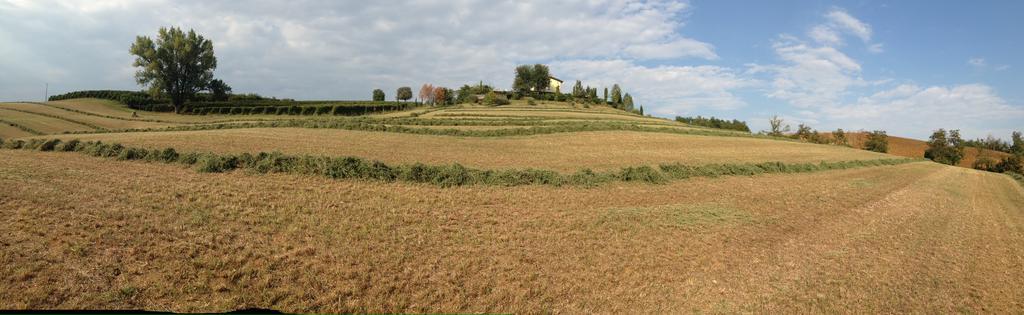 La Vedetta Bed And Breakfast Castelvetro di Modena Extérieur photo